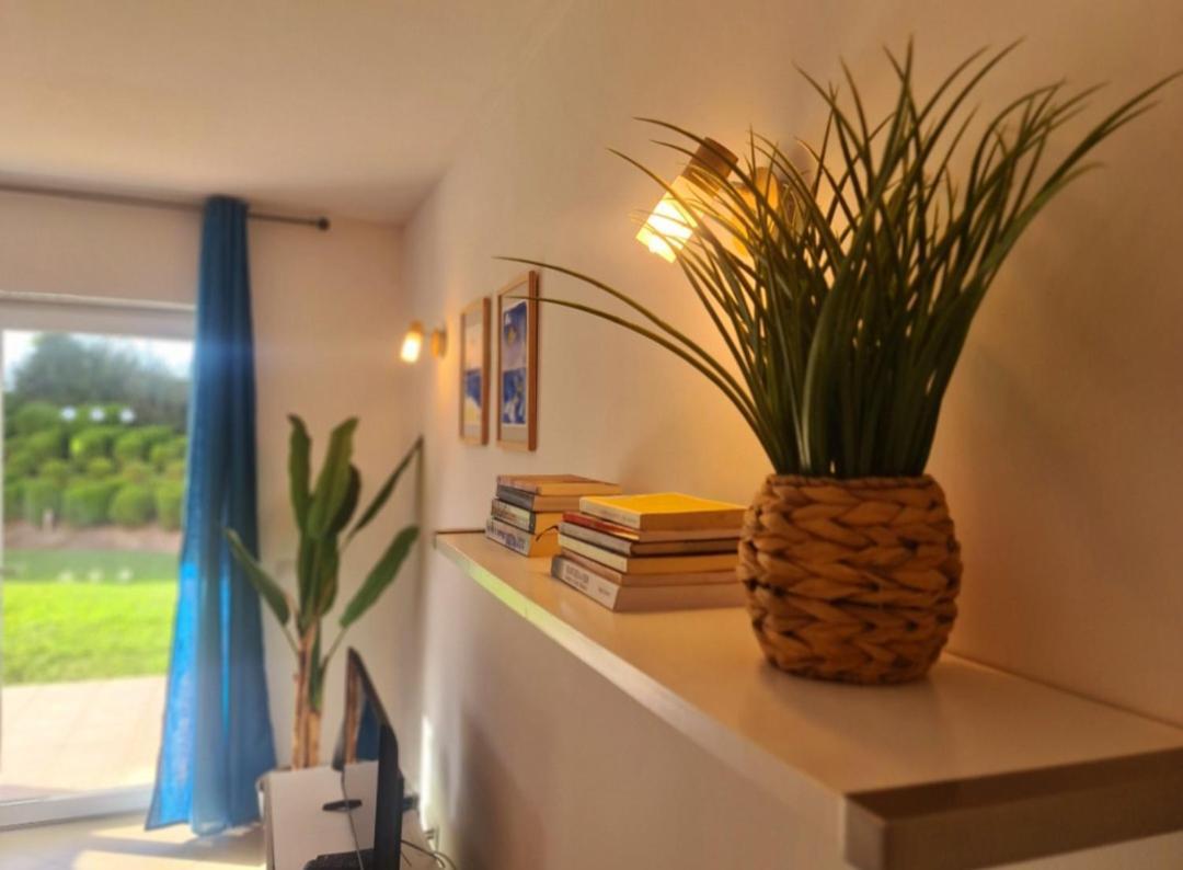 קבאנס דה טאבירה Cabanas Garden By Hnm מראה חיצוני תמונה